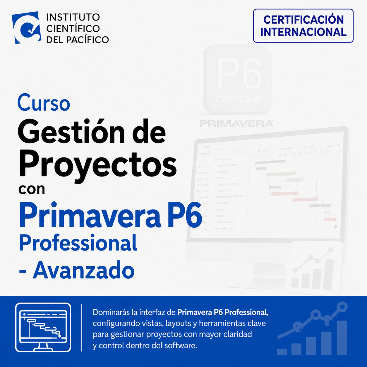 Curso Gestión de Proyectos con Primavera P6 Professional - Avanzado