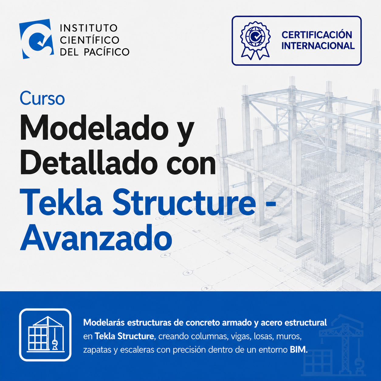Curso Modelado y Detallado con Tekla Structure - Avanzado