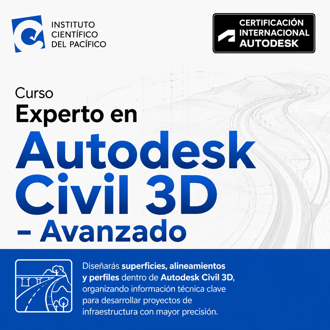 Curso Experto en Autodesk Civil 3D - Avanzado