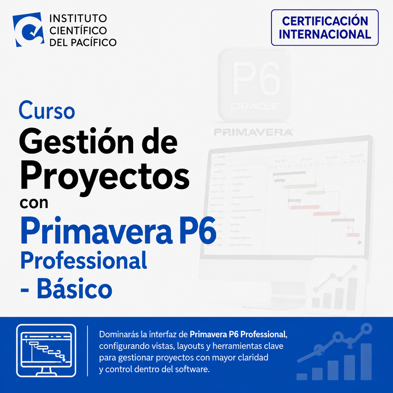 Curso Gestión de Proyectos con Primavera P6 Professional - Básico