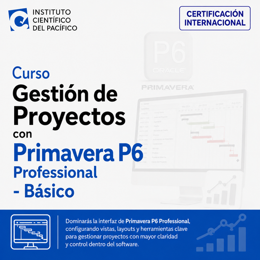 Curso Gestión de Proyectos con Primavera P6 Professional - Básico