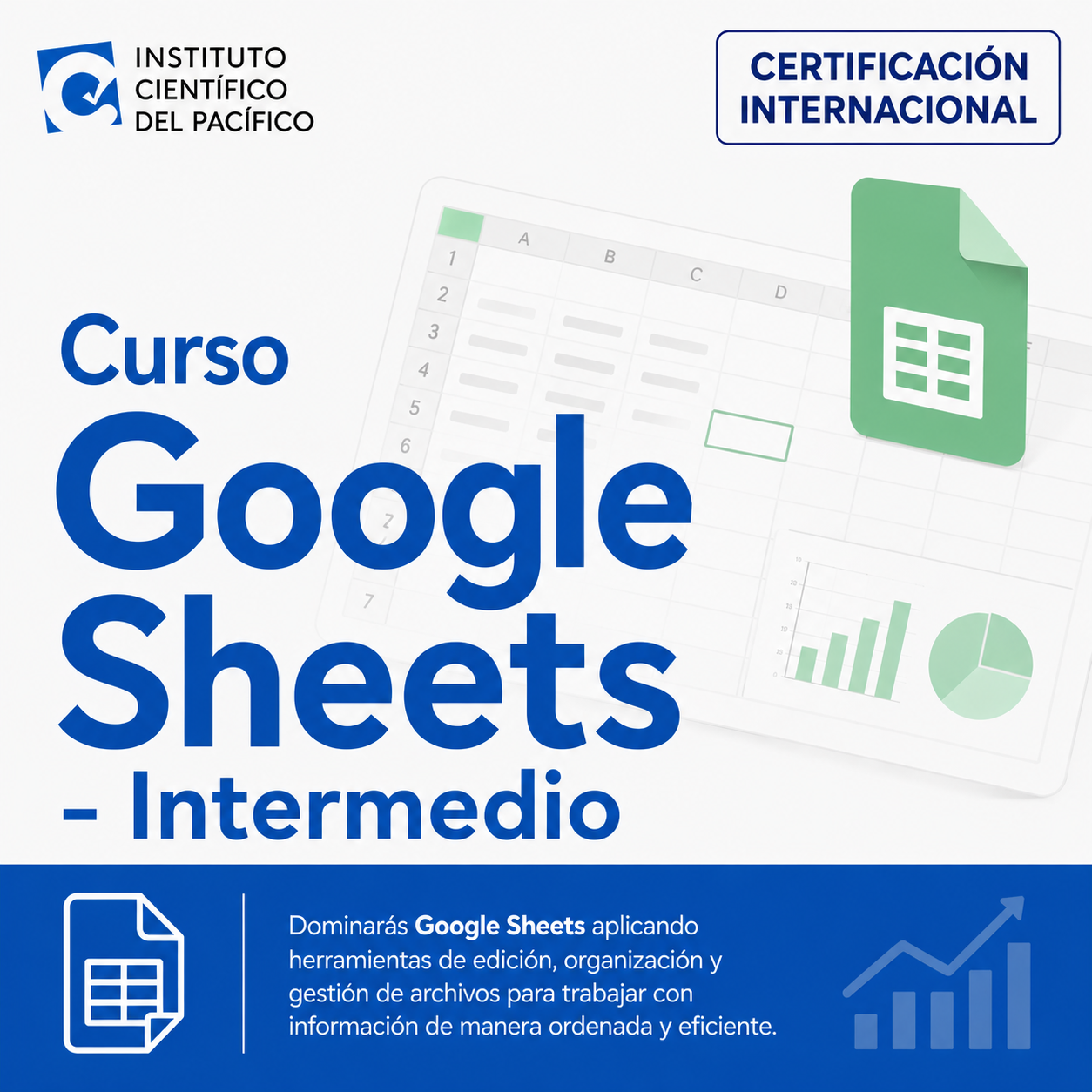 Curso Google Sheets - Intermedio